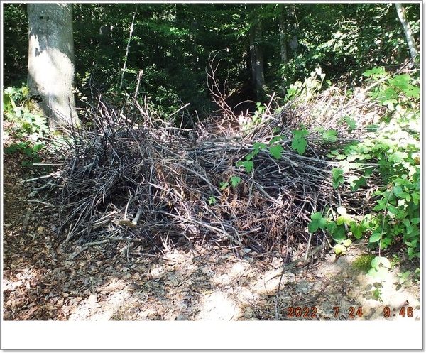 barrage de branches sur le chemin du Mont Peleu...