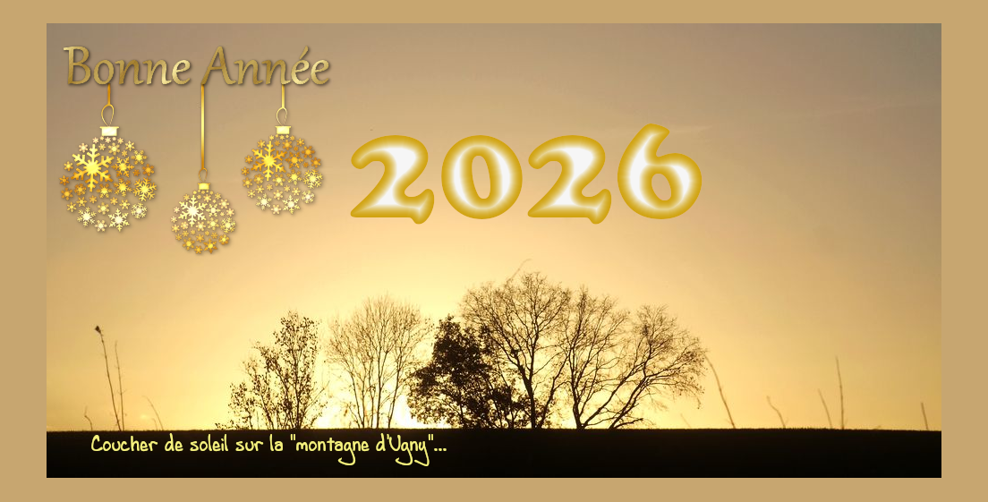 Bonne année 2026...