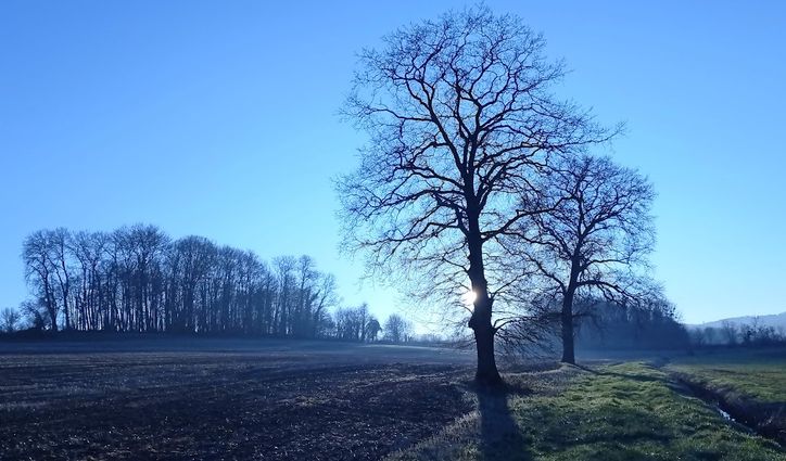 vue du chemin 