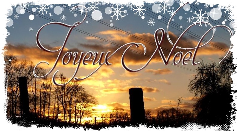 joyeux noël...