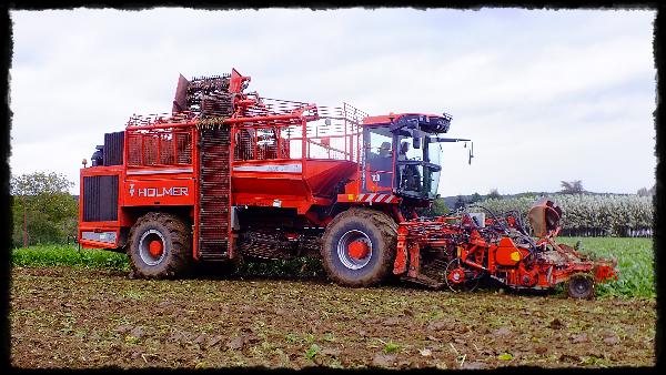 un champ, une machine à ramasser les betteraves