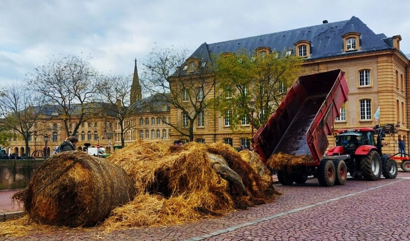 tracteurs déversant du fumier