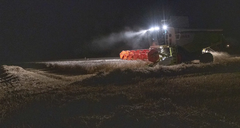 moissonneuse travaillant la nuit