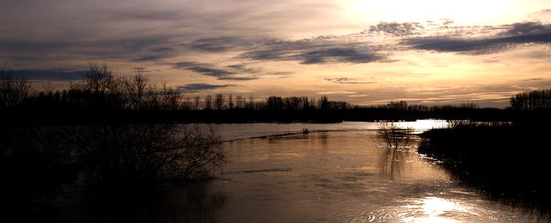 paysage inondé et sombre